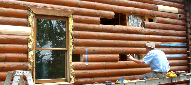 Log Home Repair Williamsburg County,  South Carolina